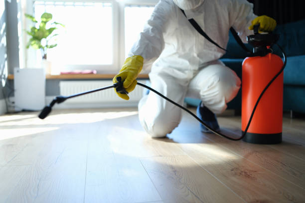 Reliable Odor Removal contractor in Cheltenham, MD by Trauma Clean Pros